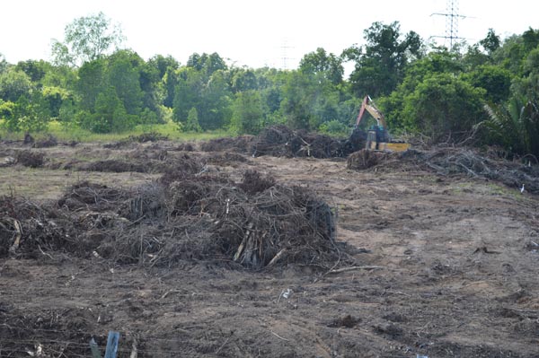 Clearing of land for Container Yard & New Office Building